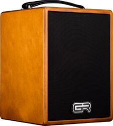 Combo voor akoestische gitaar Gr bass WD Acoustic 5